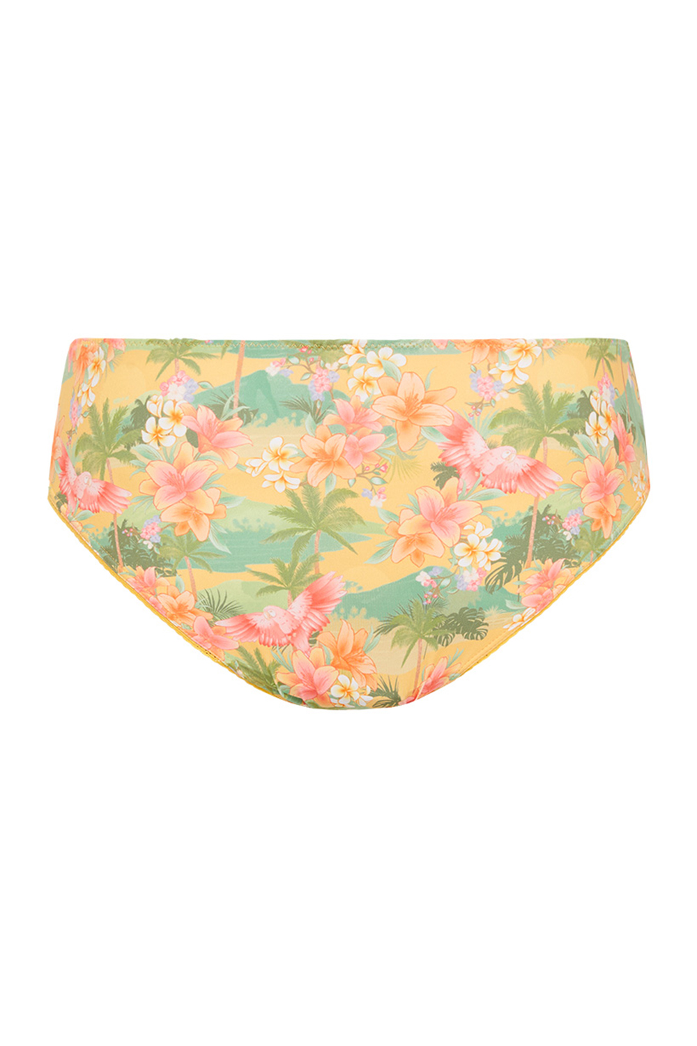 THE TROPICAL HAVANA BLOOMERS THE TROPICAL HAVANA BLOOMERS
